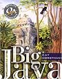 Big Java: Programming and Practice