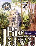 Big Java: Programming and Practice