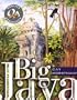 Big Java: Programming and Practice