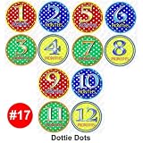 DOTTIE DOTS Baby Month Onesie Stickers Baby Shower Gift Photo Shower Stickers, baby shower gift by OnesieStickers