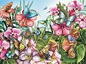 Butterfly Garden