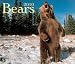 Bears 2010 (Calendar)
