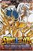 Saint Seiya - The Lost Canvas, Tome 8 :