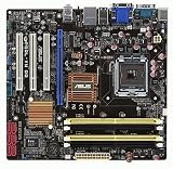 P5QL-VM DO/CSM