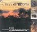 A Bevy of Beasts: The Enchanting Animals of Borneo, Belize & Beyond