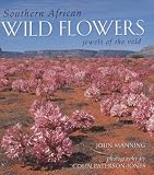 Southern African Wildflowers