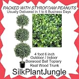 54" Triple Ball-shaped Boxwood Topiary in Plastic Pot Two Tone Green