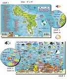 Bonaire Fish and Creature Guide