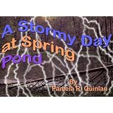 A Stormy Day at Spring Pond (The Spring Pond Series)