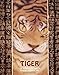 Tiger: 100 Representations in Classic Japanese Art (Solar East)