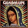 Guadalupe: Virgen De Los Indios