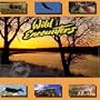 Wild Encounters - Polar Bear: Waiting for the Ice