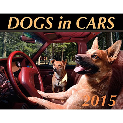 The Official Dogs in Cars 2015 Wall Calendar