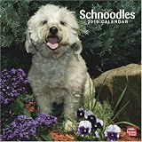 Schnoodles 2010 Square Wall (Multilingual Edition)