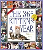The 365 Kittens a Calendars) [Calendar]