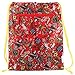 Ed Hardy Lightweight Tattoo Graphic Drew Drawstring Backpack Bag