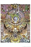 Grateful Dead Entertainment Poster Print, 24x36