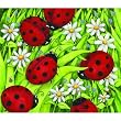 Lady Bugs 200pc Childrens Jigsaw Puzzle by Debbie Hron