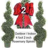 1 lot of 2 Artificial Outdoor Indoor Potted 4 foot Designer Rosemary Spiral Topiary Tree Plants packed in peanuts