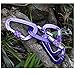 Hanxue D Shape Pet Buckle Camping Fishing Hiking Hook Carabiner Keychain
