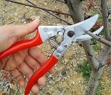 Sprite Science™ Traditional Ideal Bypass Pruning Shears / Garden Scissors / Tree Trimmer / Tree Clippers / Hand Pruners / Hedge Shears / Hand Grass Shears / Bonsai Cutters, Trimmer & Garden Tool for Professional & Home Use - Strong, Durable Razor Sharp Blade Make Effortless & Precise Cuts