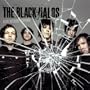 Alive Without Control (Bonus CD) (Dig)