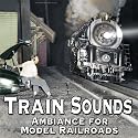 Train Sounds - Ambiance for HO Model Railroads (Audio CD)