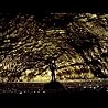 Jónsi's video Go Do