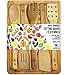 Shop2Go2 Organic Set of Cutting Board with 5 Bamboo Utensils
