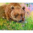 The Bear & the Dragon Fly 200pc Childrens Jigsaw Puzzle by Valeria Yost