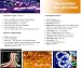 Amber 100 FT 110V-120V LED Rope light Kit, 1.0" LED spacing, Christmas Lighting, Outdoor rope light image 2