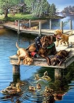 Summer School a 500-Piece Jigsaw Puzzle by Sunsout Inc.
