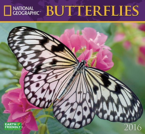 Butterflies National Geographic 2016 Wall Calendar