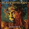 Image of album by Pierre Bensusan