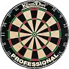 Kings Dart Turnierboard Dartscheibe Blade Spider
