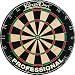 Kings Dart Turnierboard Dartscheibe Spider