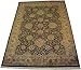 7' x 10' Hand-Knotted Persian Oriental Carpet Area Rug made of 100% Pure High Quality Spun Worsted Wool and Silk Highlights