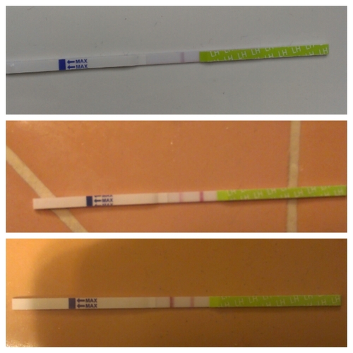 babi One Step Ovulation (LH) Test Strips, 50Count Health