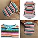 Quality Fashion Pet Puppy Dog Clothes pet Dog Puppy T Shirt -Female Dog