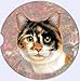 E&S Pets Calico Coaster, 3