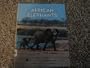 African Elephants (An African Animal Adventure)