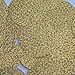 Sequin Round 60mm 2 hole Gold Hologram Glitter Sparkle Metallic. Made in USA