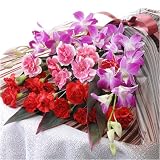 ����������եȢ��«�֥��祳��סڤ��Ϥ���5��8����11����