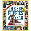 The 365 Puppies-A-Year 2009 Calendar (Picture-A-Day Wall Calendars)