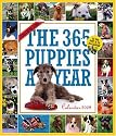 The 365 Puppies-A-Year Calendar 2009 (Picture a Day Wall Calendars)