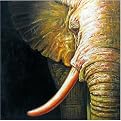Elephant Original Hand-Painted Oil on Canvas Wall Art - 32x32"