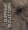 Elephant Reflections