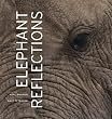 Elephant Reflections