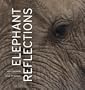 Elephant Reflections