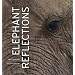 Elephant Reflections